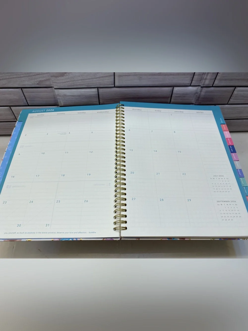Clementine ❤️2027 Cat print planner L size New